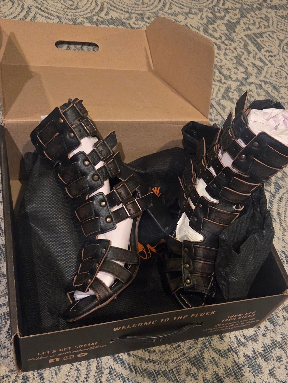 Freebird Zues Sandals NIB Size 7